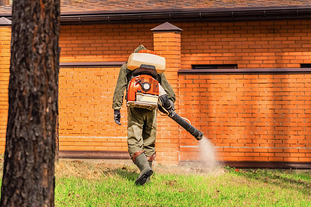 Trusted Termite Control service in Hope Valley, RI - Nex Pest Control